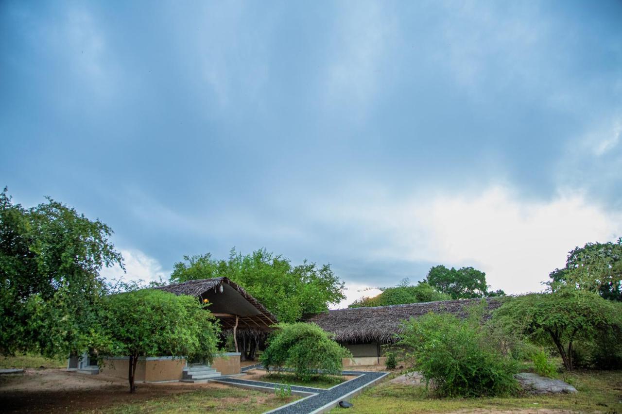Yala Wild Hut - Yala Hotel Tissamaharama Ngoại thất bức ảnh
