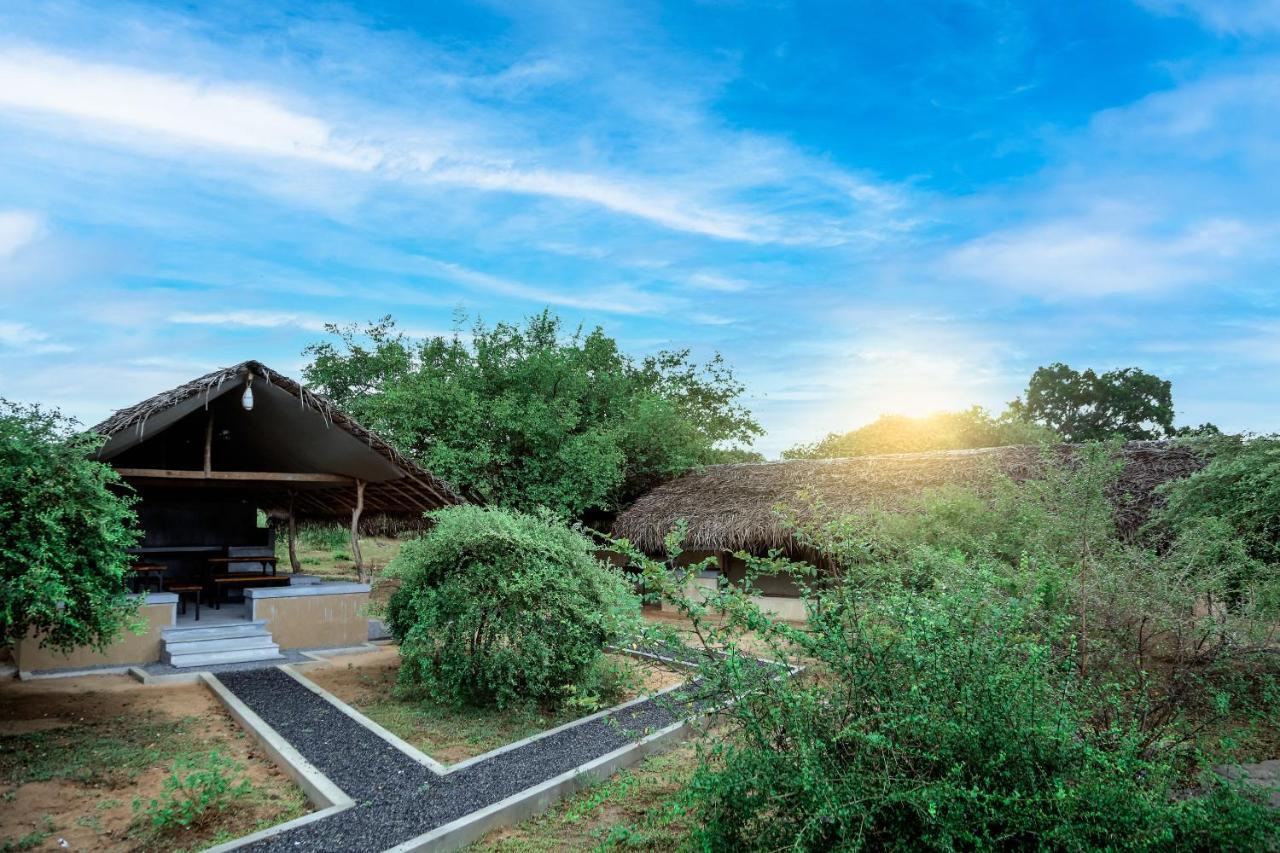 Yala Wild Hut - Yala Hotel Tissamaharama Ngoại thất bức ảnh