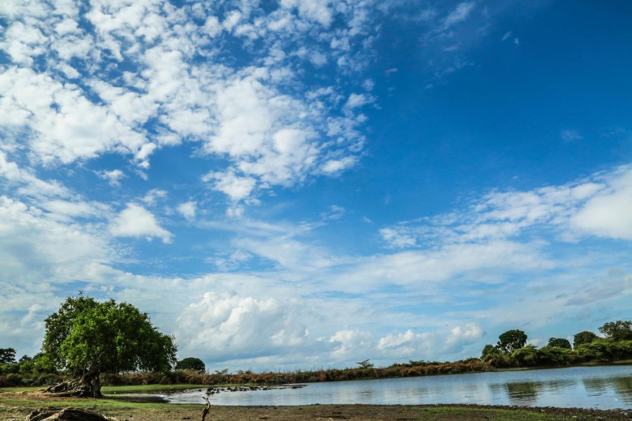 Yala Wild Hut - Yala Hotel Tissamaharama Ngoại thất bức ảnh