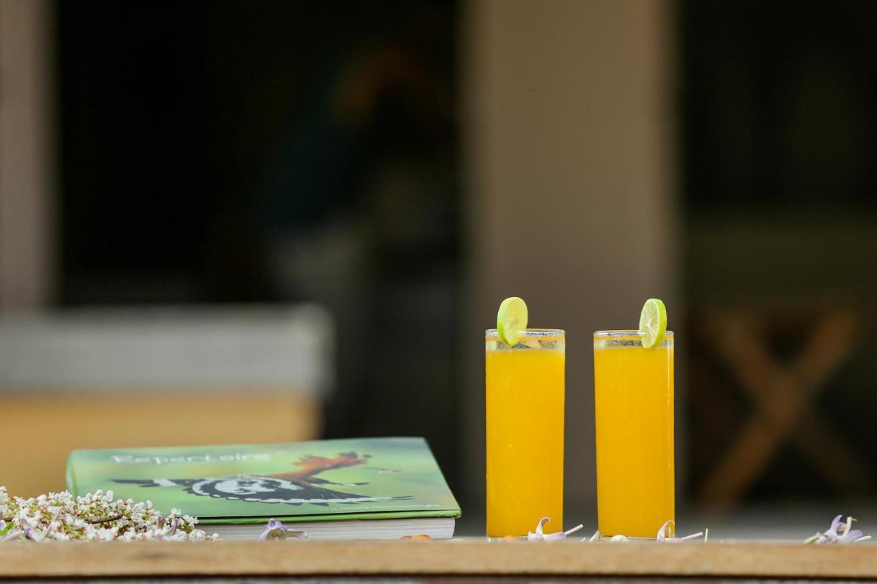 Yala Wild Hut - Yala Hotel Tissamaharama Ngoại thất bức ảnh