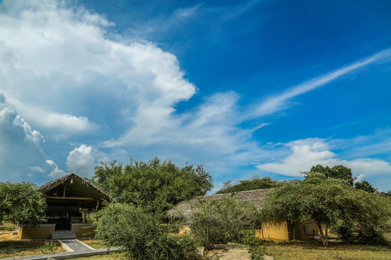Yala Wild Hut - Yala Hotel Tissamaharama Ngoại thất bức ảnh